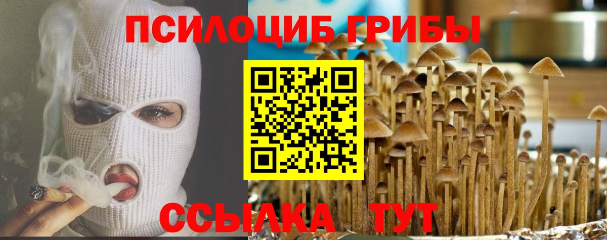 Галлюциногенные грибы прущие грибы Королёв